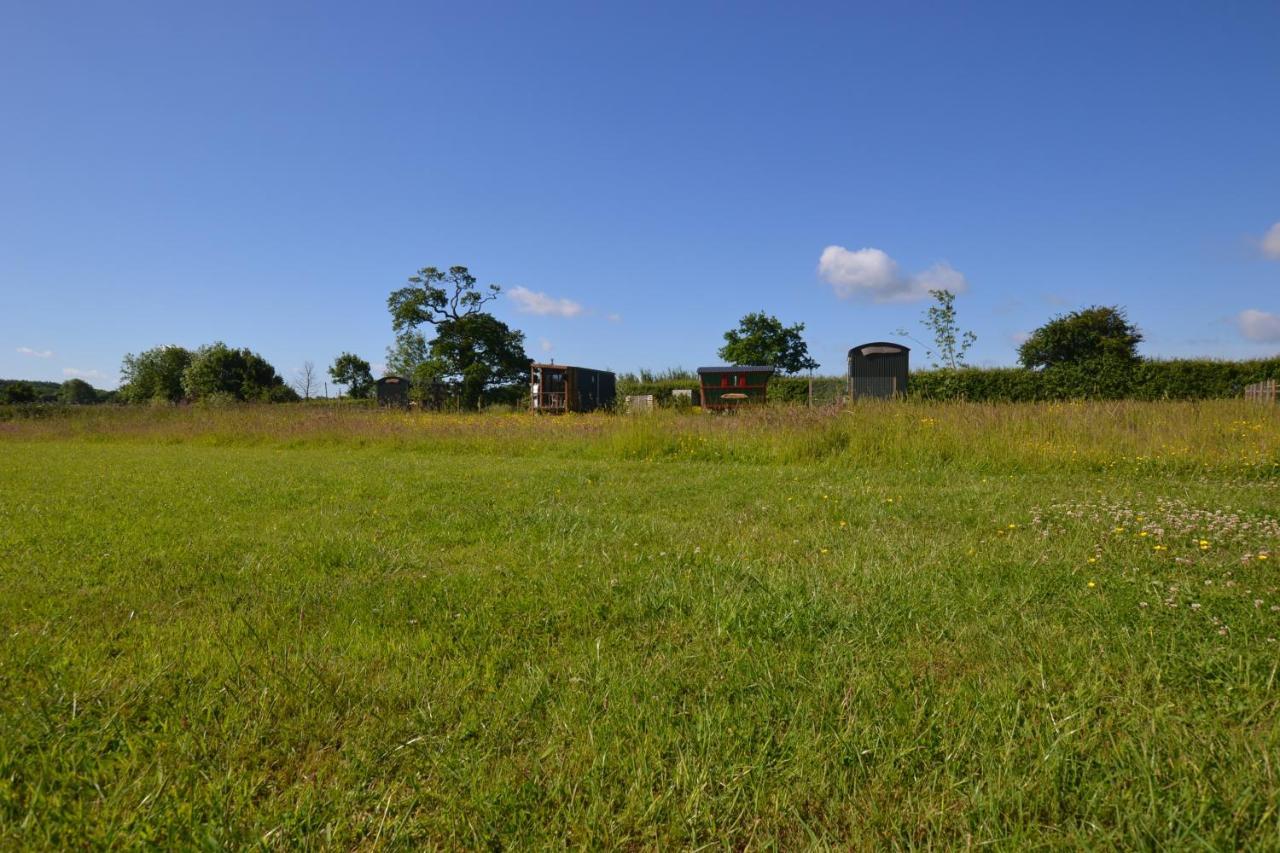 Twin Barn Shepherd's Huts * Norwich